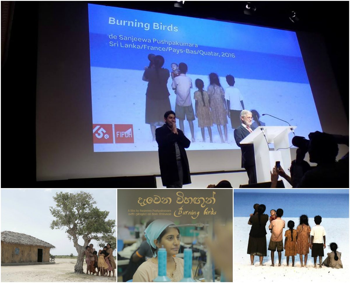 දැවෙන විහඟුන් මානව හිමිකම් සිනමා උළෙලේදී හොඳ ම චිත්රපටයට හිමි සම්මානයෙන් පිදුම් ලබයි