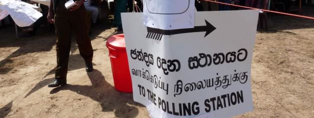 local govt elections
