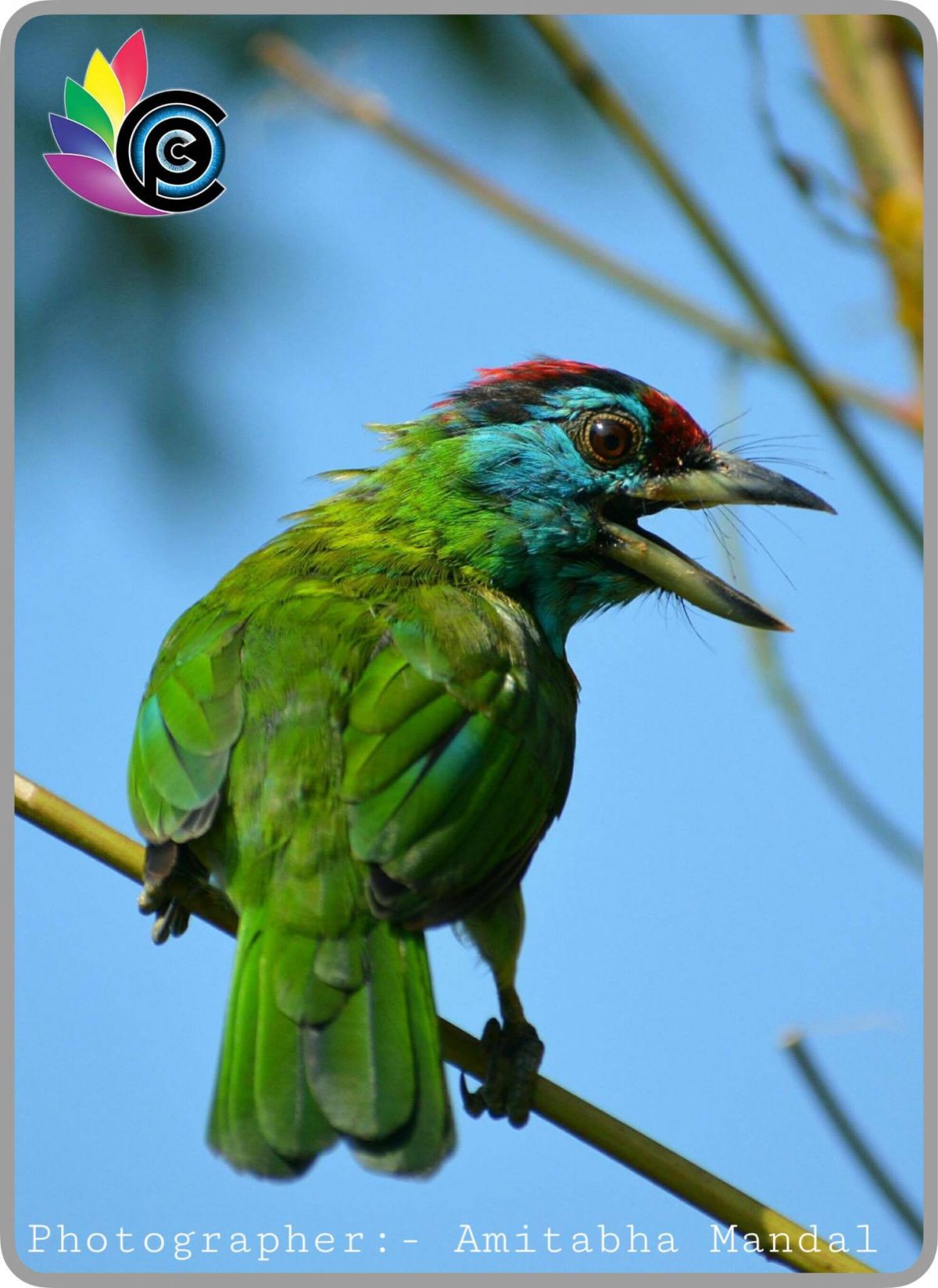 එන්න… අපි කතා කරන පින්තූර ගැන කතා කරමු!