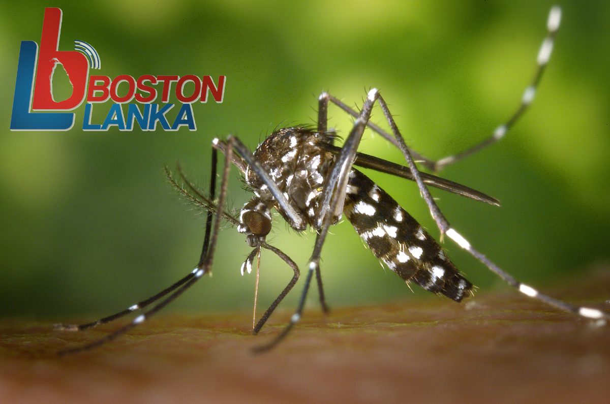 ජූලි 09 දිවයිනේ සියලු‍ පාසල්වල මදුරු මර්ධන වැඩසටහනක්