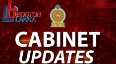 cabinet-updates