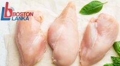 chicken-new