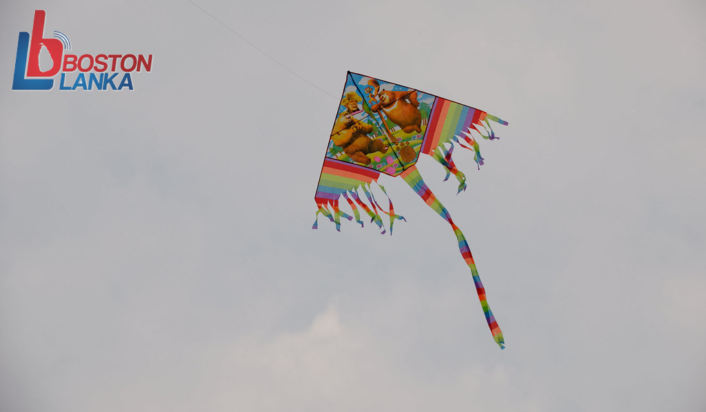 kites