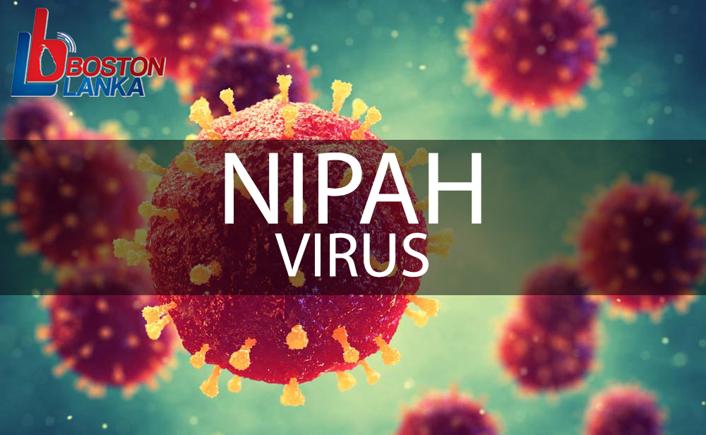 nipah-virus-g