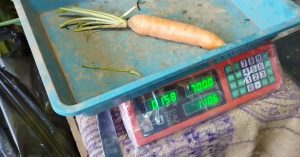 WhatsApp Image 2024-01-06 at 09.11.38 (1)