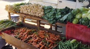 WhatsApp Image 2024-01-06 at 09.11.38 (2)