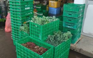 WhatsApp Image 2024-01-06 at 09.11.38 (4)