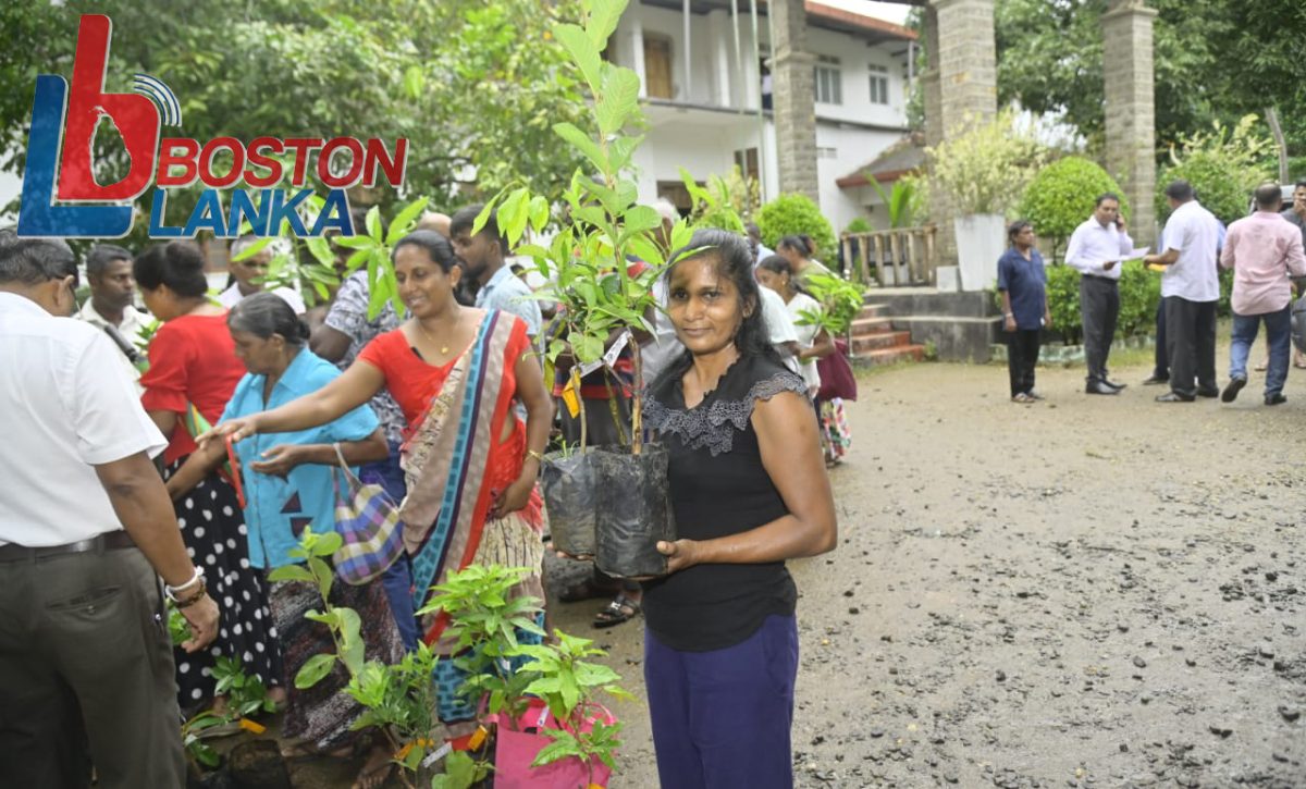 වන ගහනය වැඩි කිරීම සඳහා ඇමති පවිත්‍රා අතගසයි – ප්‍රථම අදියර පැල්මඩුල්ලෙන්ම