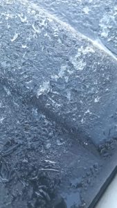 WhatsApp Image 2024-01-15 at 15.10.09