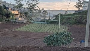 WhatsApp Image 2024-01-15 at 15.10.09 (2)