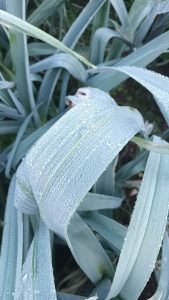 WhatsApp Image 2024-01-15 at 15.10.09 (3)