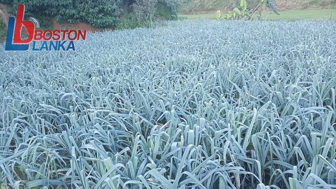 WhatsApp Image 2024-01-15 at 15.10.09 (4)