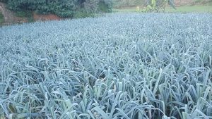 WhatsApp Image 2024-01-15 at 15.10.09 (4)