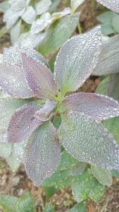 WhatsApp Image 2024-01-15 at 15.10.09 (5)