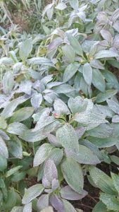 WhatsApp Image 2024-01-15 at 15.10.09 (6)