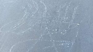 WhatsApp Image 2024-01-15 at 15.10.10