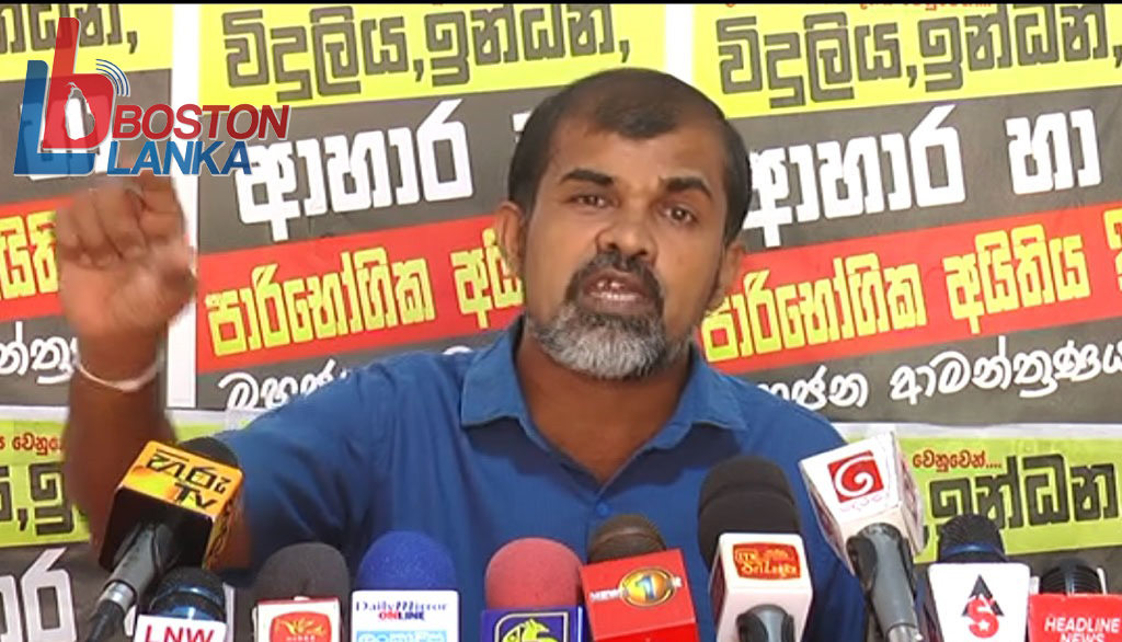 ඉතිහාසයේ වැඩිම කැරට් මිල තොග අද පෑලියගොඩ