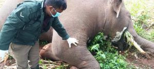 WhatsApp Image 2024-02-02 at 18.20.57 (1)