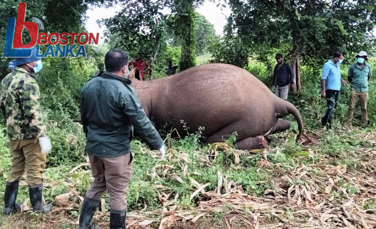 WhatsApp Image 2024-02-02 at 18.20.57 (2)