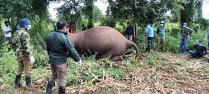 WhatsApp Image 2024-02-02 at 18.20.57 (2)