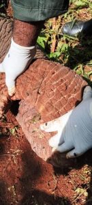 WhatsApp Image 2024-02-02 at 18.20.57 (3)