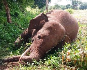 WhatsApp Image 2024-02-02 at 18.20.57