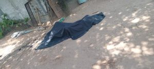 WhatsApp Image 2024-03-01 at 16.05.39