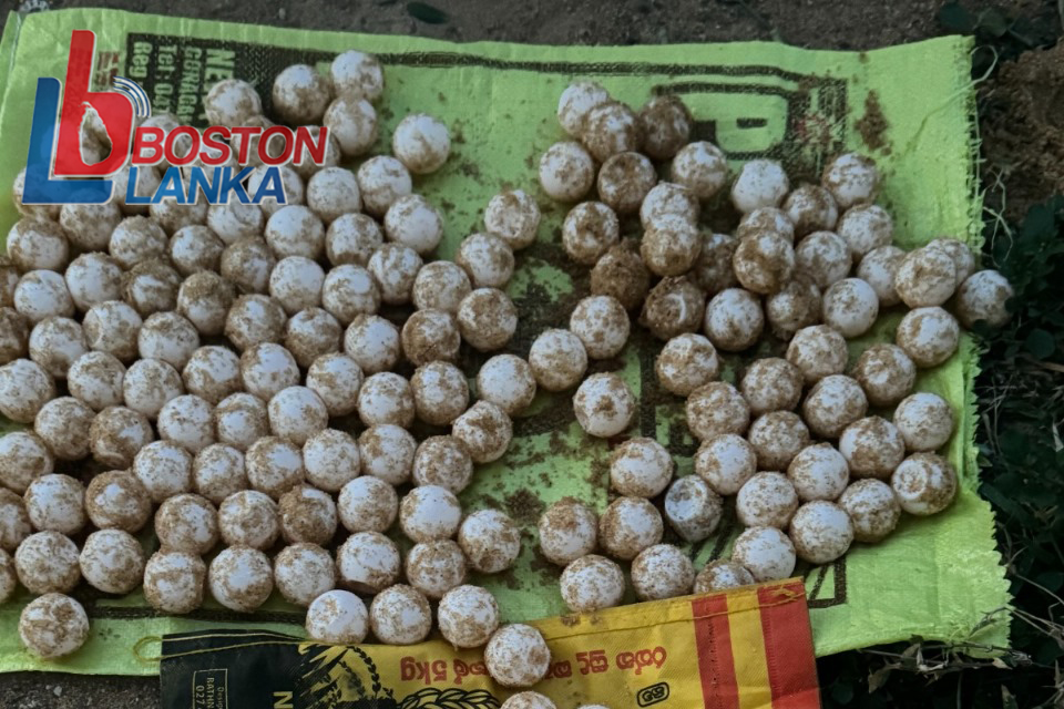 WhatsApp Image 2024-03-09 at 11.44.03