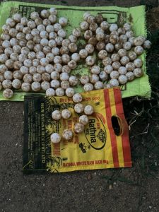 WhatsApp Image 2024-03-09 at 11.44.03