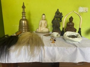 WhatsApp Image 2024-03-11 at 22.18.43