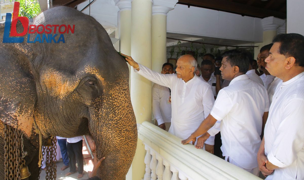 හිස තෙල් ගෑමේ ජාතික මහෝත්සවය අග්‍රාමාත්‍ය දිනේෂ් ගුණවර්ධන මහතාගේ ප්‍රධානත්වයෙන්….