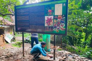 WhatsApp Image 2024-05-09 at 14.51.45 (4)