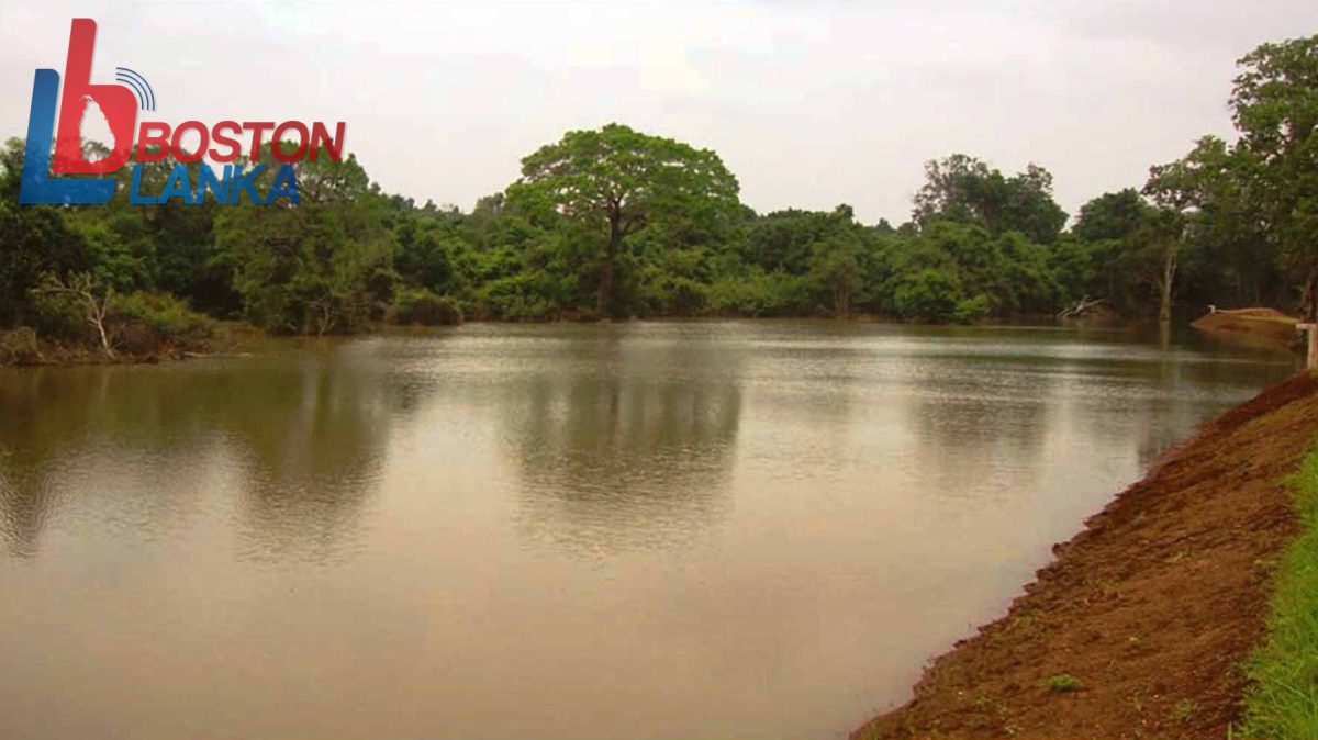 අධික වැස්සෙන් වැව් අමුණු 130කට හානි සිදුවෙයි