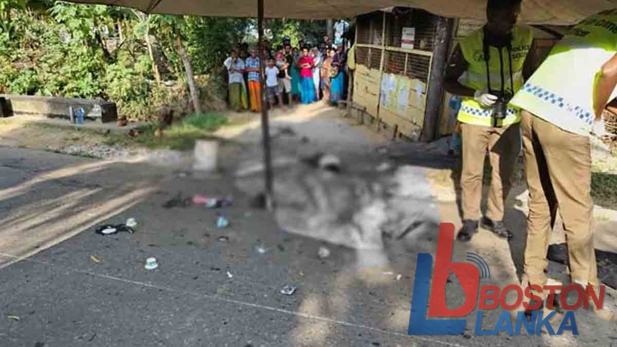 කජ්ජා ඝාතනය රුපියල් ලක්ෂ 05ක කොන්ත්‍රාත්තුවක් මත සිදුකර ඇති බවට අනාවරණය වෙයි