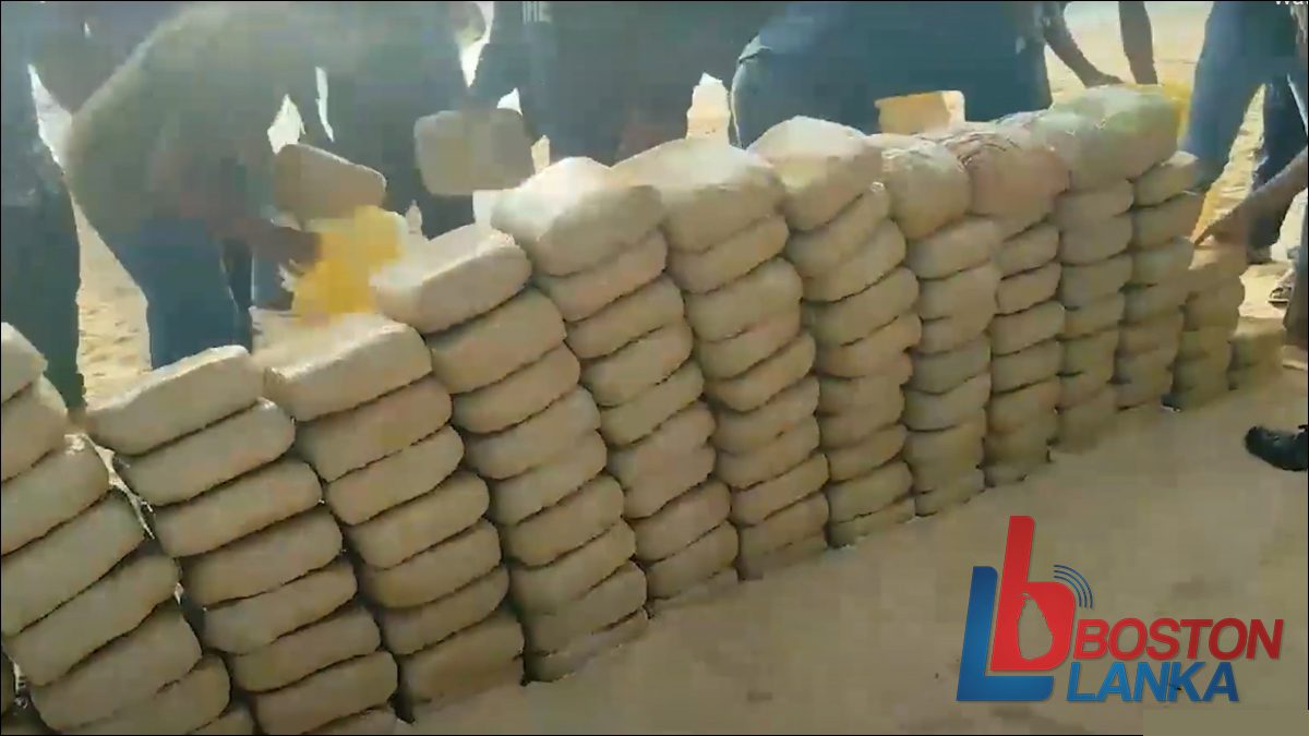 රුපියල් මිලියන 60ක කේරළ ගංජා යාපනයෙන් සොයාගනී