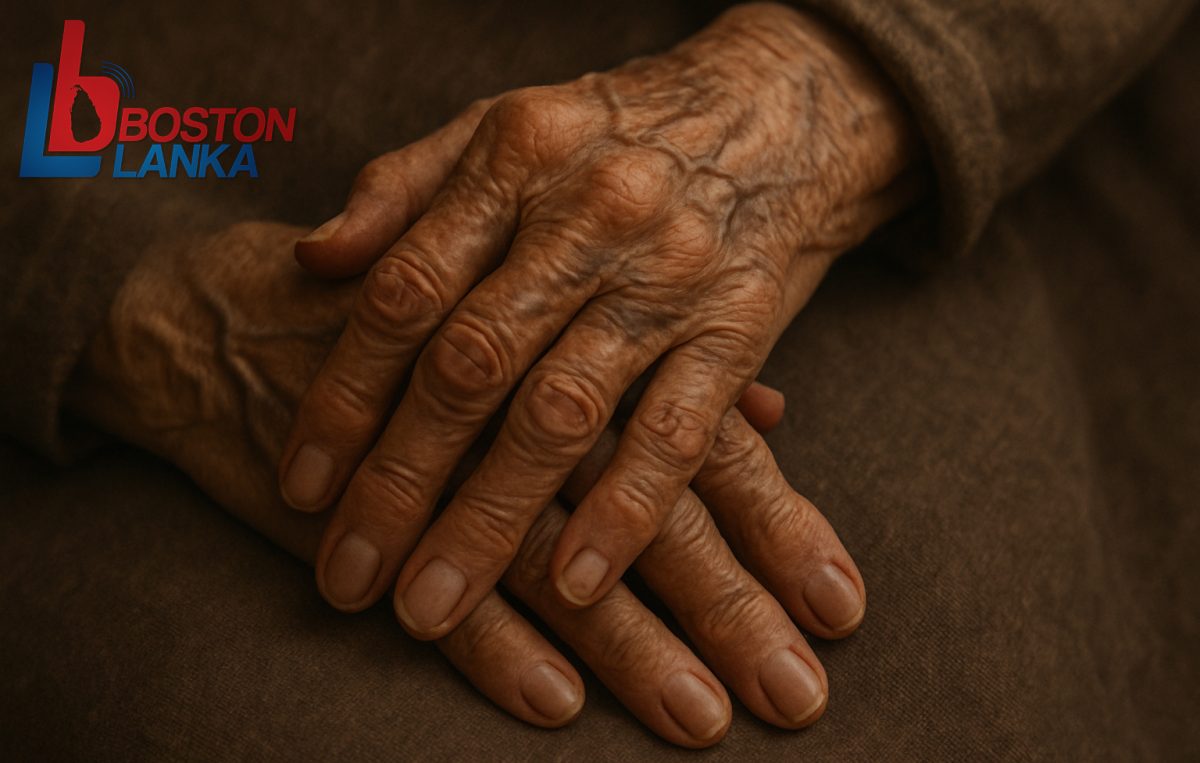 සරණක් අවැසි වැඩිහිටියන් පිළිබඳ තොරතුරු ලබාදීමට WhatsApp අංකයක් හඳුන්වාදෙයි