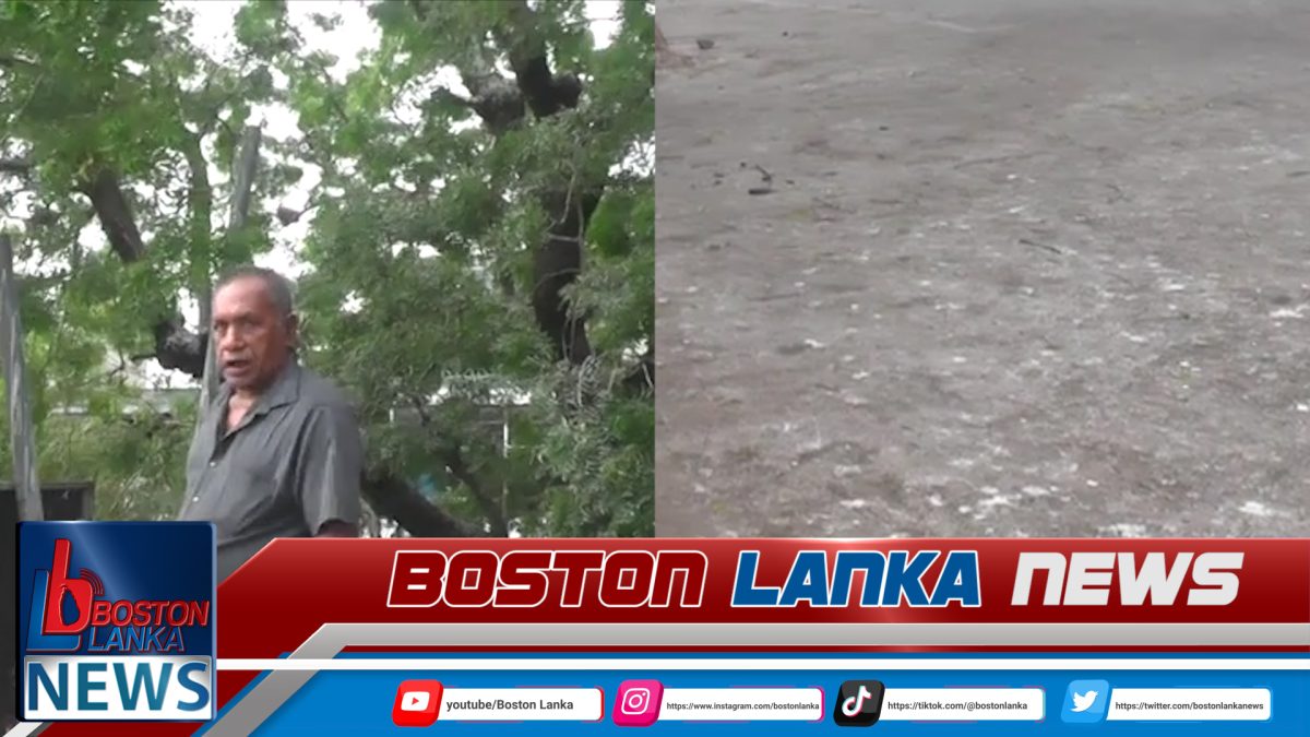 ගලෙන්බිඳුනුවැව නගරයේ හතරමං හන්දියේ කොක්කු කරදර….