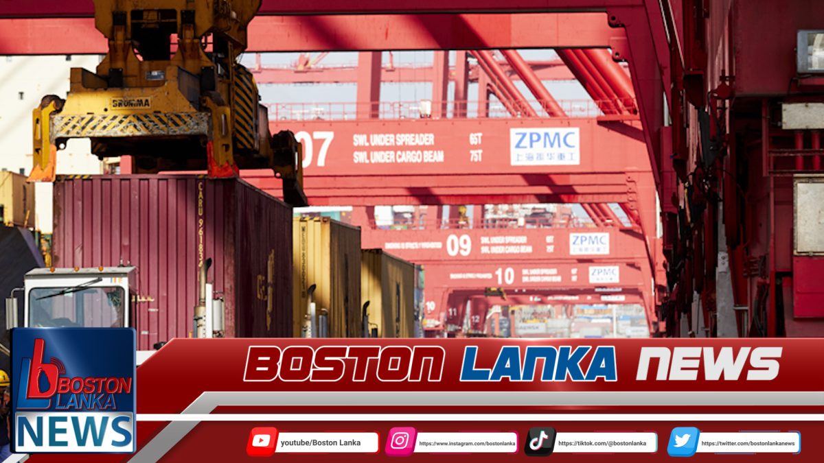 පැටවීමට ගිය බහාලුමක් වැටී බිහිසුණු අනතුරක්