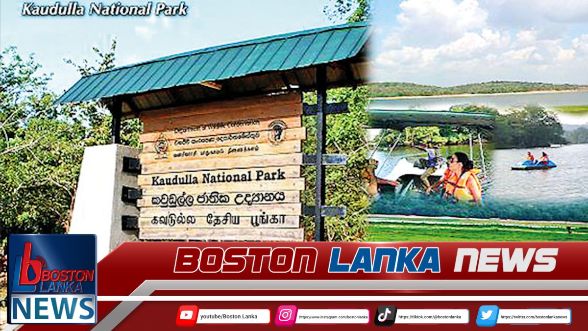 කවුඩුල්ල ජාතික වනෝද්‍යානයේ ප්‍රවේශපත් කවුළුවේ දිගු පෝලිම්….