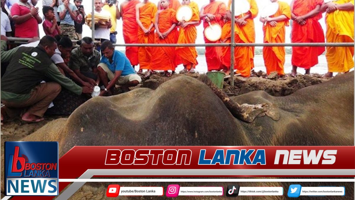 කණ්ඩලමේ හැඩකාරයාට පිං අනුමෝදනා කරයි…..