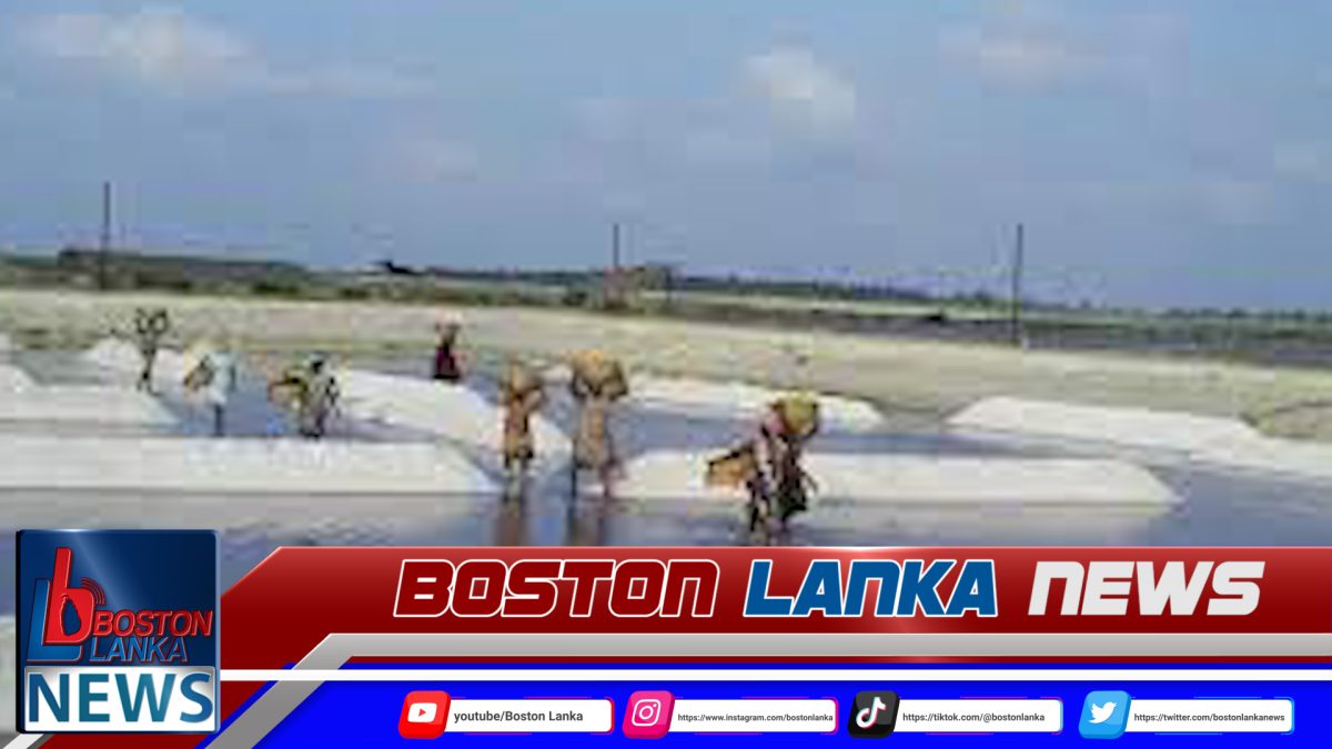 අලිමංකඩ උතුර ලුණු ලේවාය නැවත වැඩ අරඹයි….