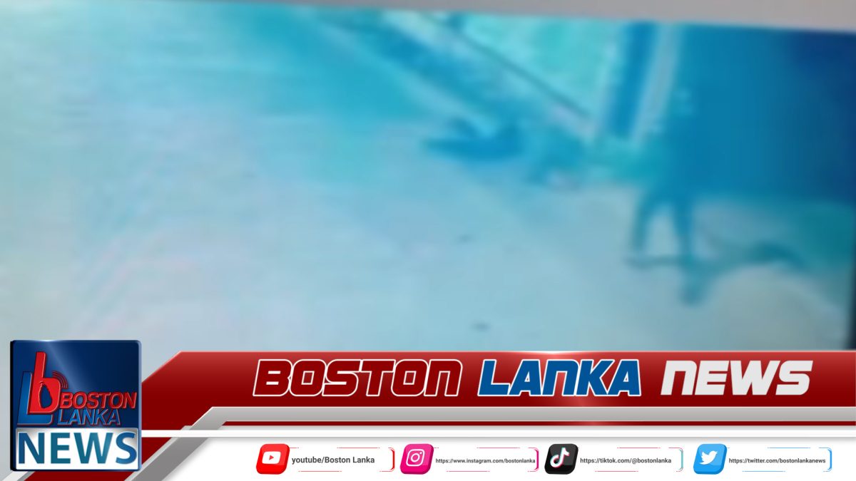 බොරලැස්ගමුවේ වෙඩි තැබීමකින් අයෙක් මරුට….