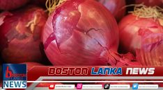 News Iamges.00_00_00_00.Still388