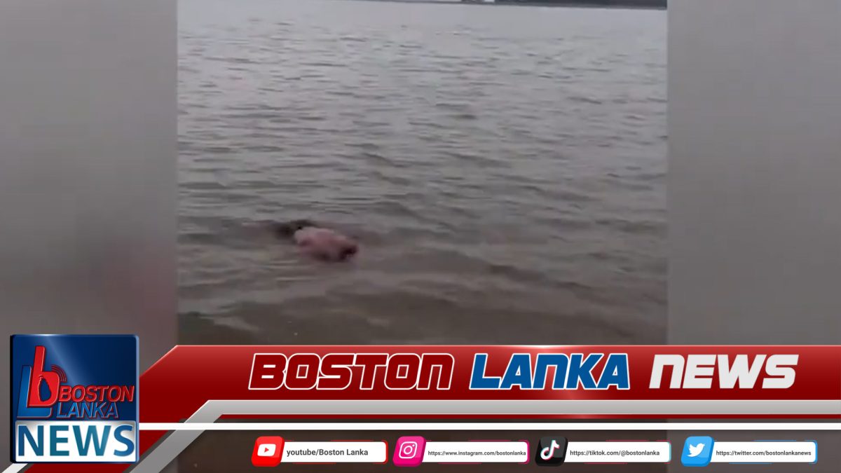 මුත්තියාන්කට්ටු වැවෙහි තිබී හමු වූ පුද්ගල මළ සිරුර ගැන විශේෂ විමර්ශනයක්….