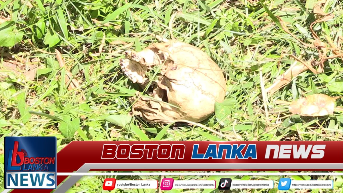 කොලොන්නාව කුණුකන්ද අසල කැලෑවෙන් මිනිස් සිරුරක අස්ථි කොටස් හමුවෙයි…..