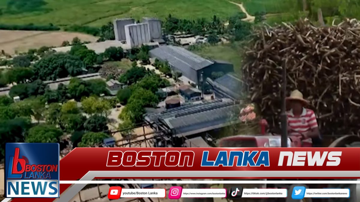 රතු එළි දැල්වෙන සෙවනගල සීනි කර්මාන්ත ශාලාව…..