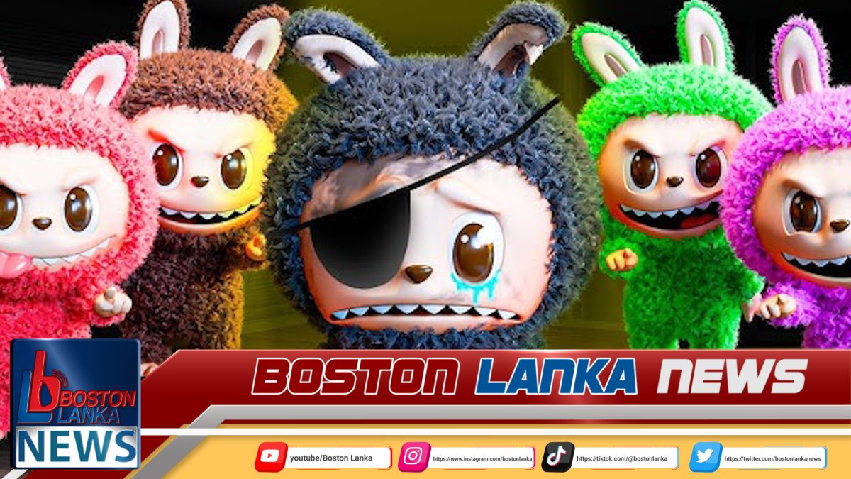 ව්‍යාජ ලබුබු බෝනික්කන්ගෙන් දරුවන්ට බරපතළ අවදානමක්….