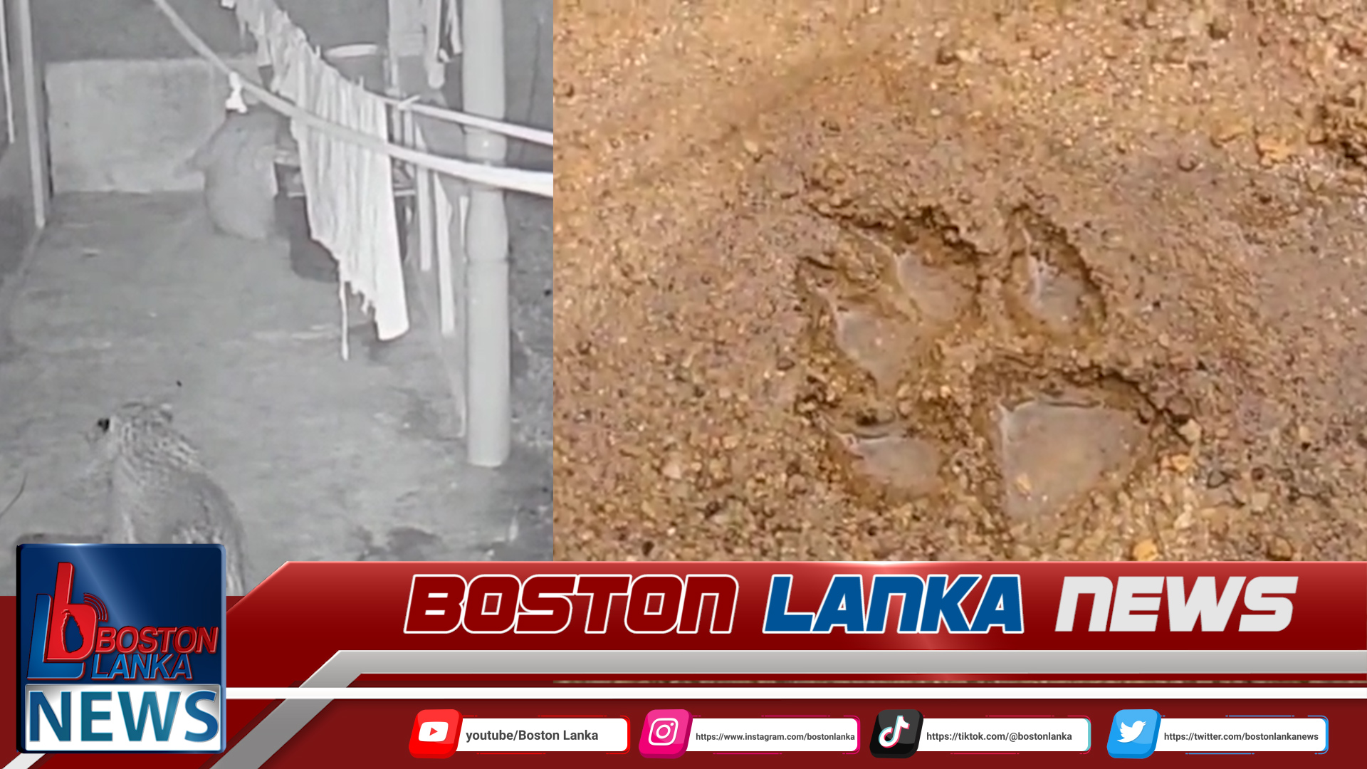 News Iamges.00_00_01_22.Still146