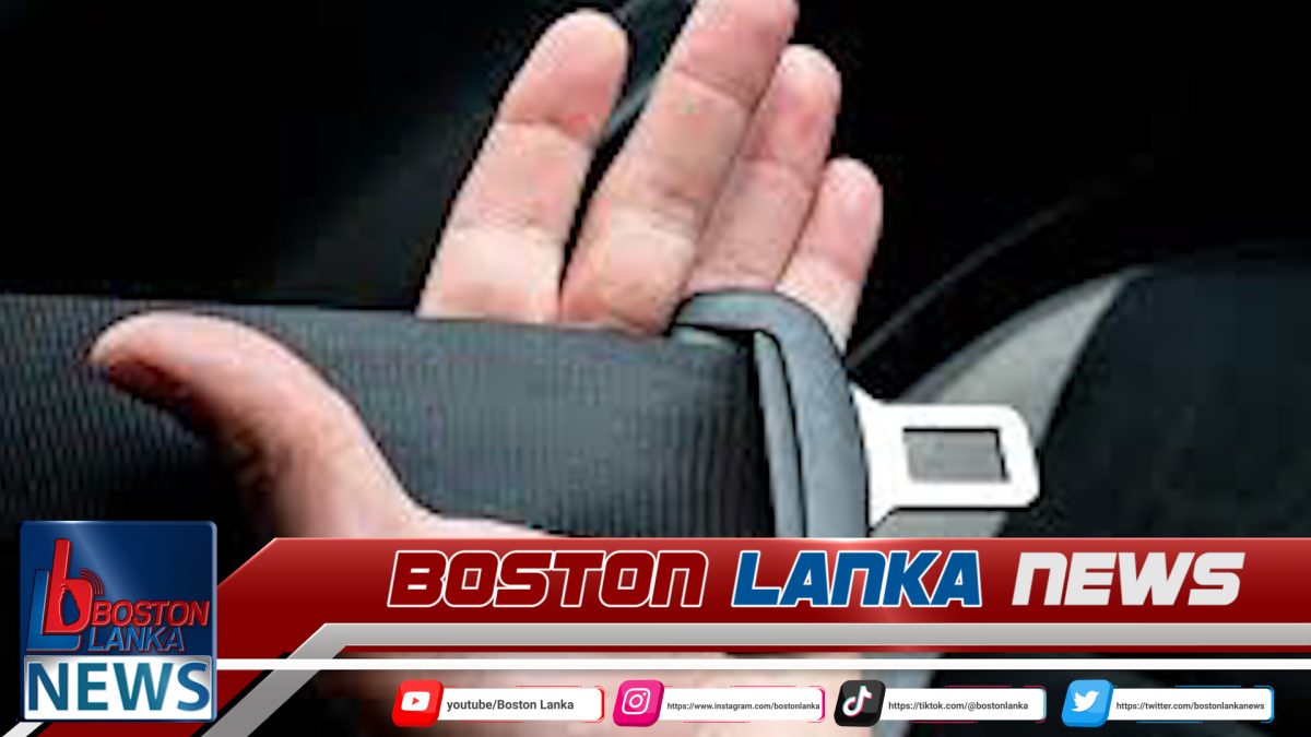 අධිවේගයේ බස් රථවල මගීන්ට ආසන පටි පැළදීම අනිවාර්ය කිරීමේ ගැසට් නිවේදනය 31 වැනිදා…..