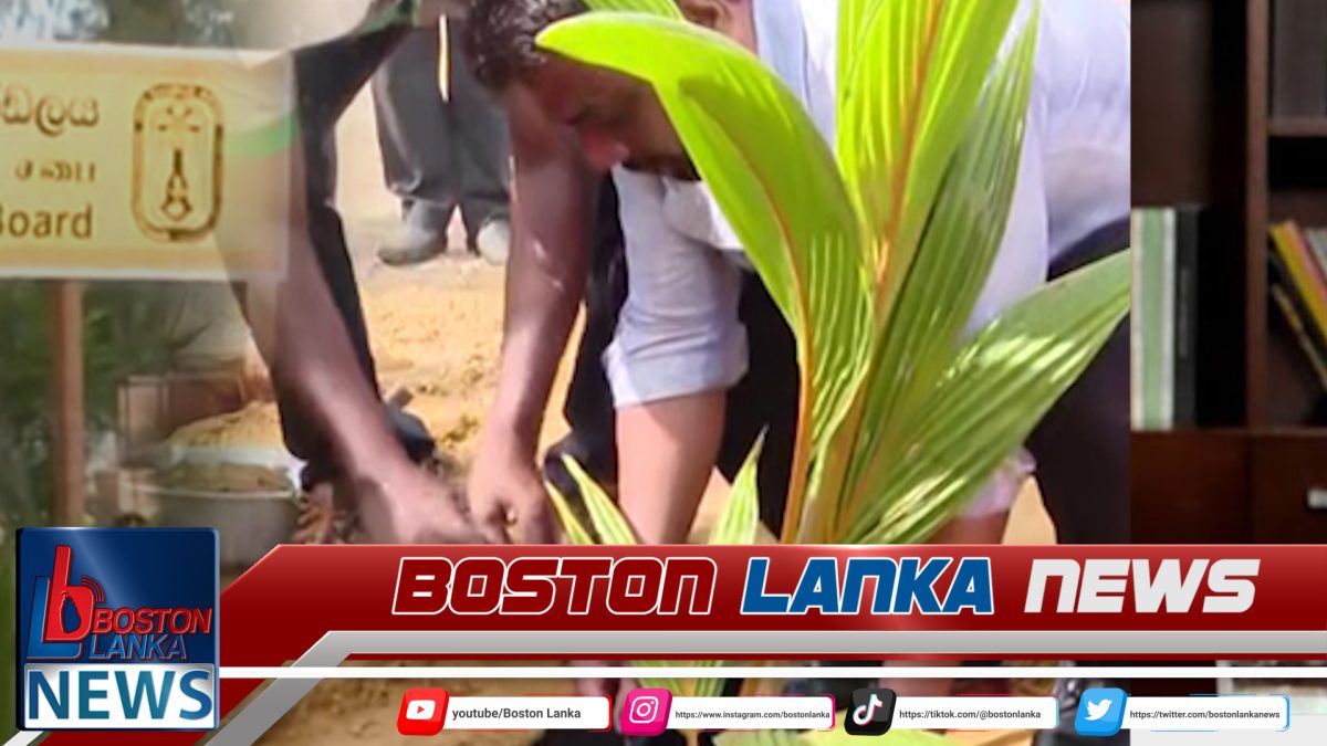 උතුරේ පළමු බීජ පොල් නිෂ්පාදන ඒකකය ආරම්භ කෙරේ….